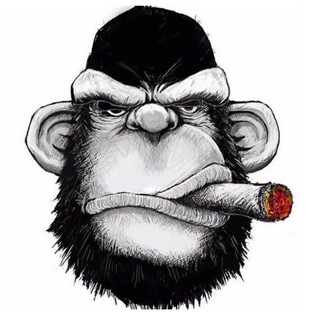 Логотип Телеграм канала Igor Tokaev. Бесплатная аналитика Telegram каналов