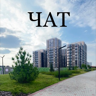 Telegram Channel logo lybimovochat. Free Telegram Channel Analytics