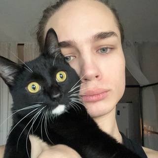 Telegram Channel logo ikorotkov. Free Telegram Channel Analytics