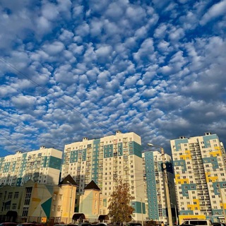 Telegram Channel logo ozerki_news. Free Telegram Channel Analytics