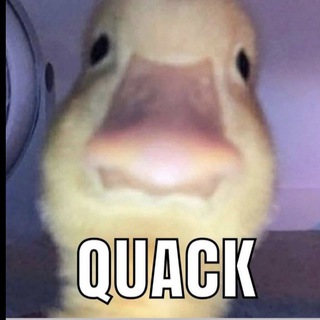 Telegram Channel logo lewawiyane. Free Telegram Channel Analytics