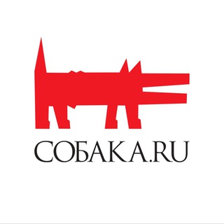 Логотип Телеграм канала nn_sobaka_ru. Бесплатная аналитика Telegram каналов