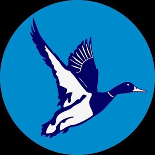 Логотип Телеграм канала cheboksaryafisha21. Бесплатная аналитика Telegram каналов