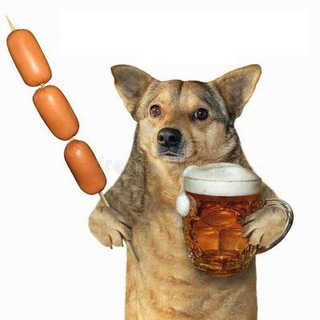 Telegram Channel logo . Free Telegram Channel Analytics