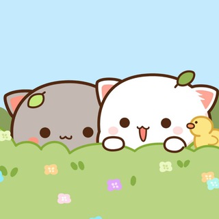 Telegram Channel logo Peach and Goma. Free Telegram Channel Analytics