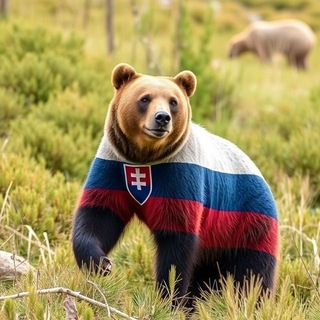 Telegram Channel logo slovenskymedved. Free Telegram Channel Analytics