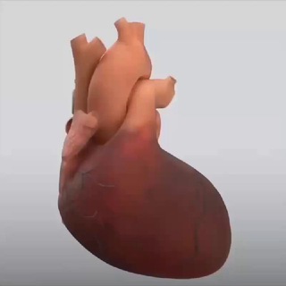 Telegram Channel logo . Free Telegram Channel Analytics