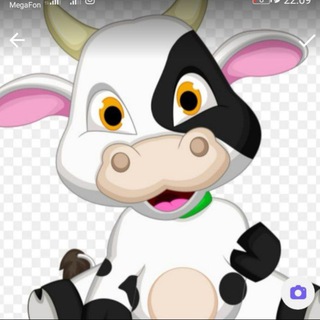 Telegram Channel logo domashniezhivotnyepticychuvashii. Free Telegram Channel Analytics