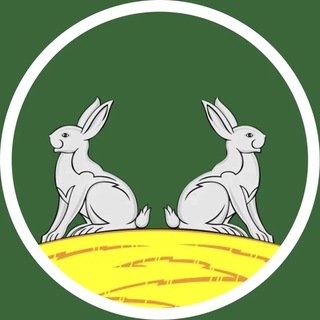 Логотип Телеграм канала +pWhbOpDoTZlmMjJi. Бесплатная аналитика Telegram каналов