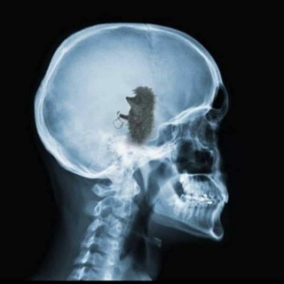 Логотип Телеграм канала Туристичні плітки. Бесплатная аналитика Telegram каналов