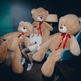 Логотип Телеграм канала . Бесплатная аналитика Telegram каналов