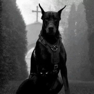 Telegram Channel logo aesthetics_roo_m. Free Telegram Channel Analytics