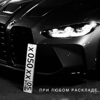 Логотип Телеграм канала . Бесплатная аналитика Telegram каналов