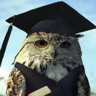 Логотип Телеграм канала Braintorn. Бесплатная аналитика Telegram каналов