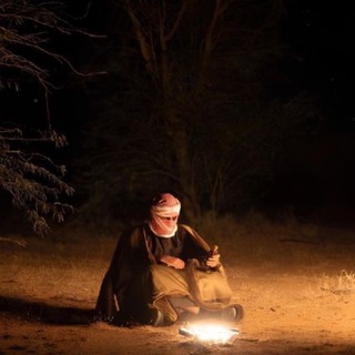 Логотип Телеграм канала . Бесплатная аналитика Telegram каналов