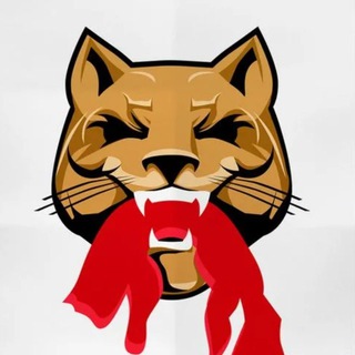 Логотип Телеграм канала +XX_lOMwFcCgyZTZi. Бесплатная аналитика Telegram каналов