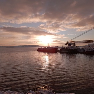 Логотип Телеграм канала . Бесплатная аналитика Telegram каналов