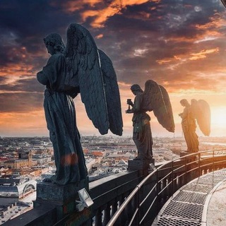 Логотип Телеграм канала . Бесплатная аналитика Telegram каналов