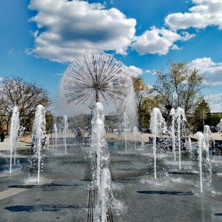 Telegram Channel logo skhodit_v_bryanske. Free Telegram Channel Analytics