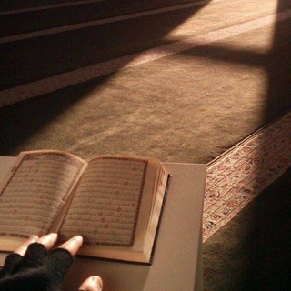 Telegram Channel logo nuriszwanni 🌷. Free Telegram Channel Analytics