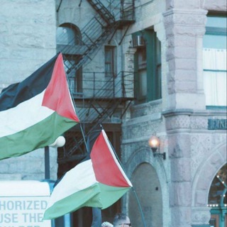 Логотип Телеграм канала . Бесплатная аналитика Telegram каналов