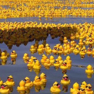 Логотип Телеграм канала Множество × Ася Репрева. Бесплатная аналитика Telegram каналов