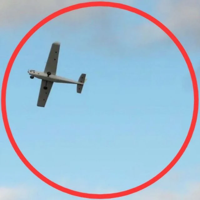 Логотип Телеграм канала nn52signal. Бесплатная аналитика Telegram каналов