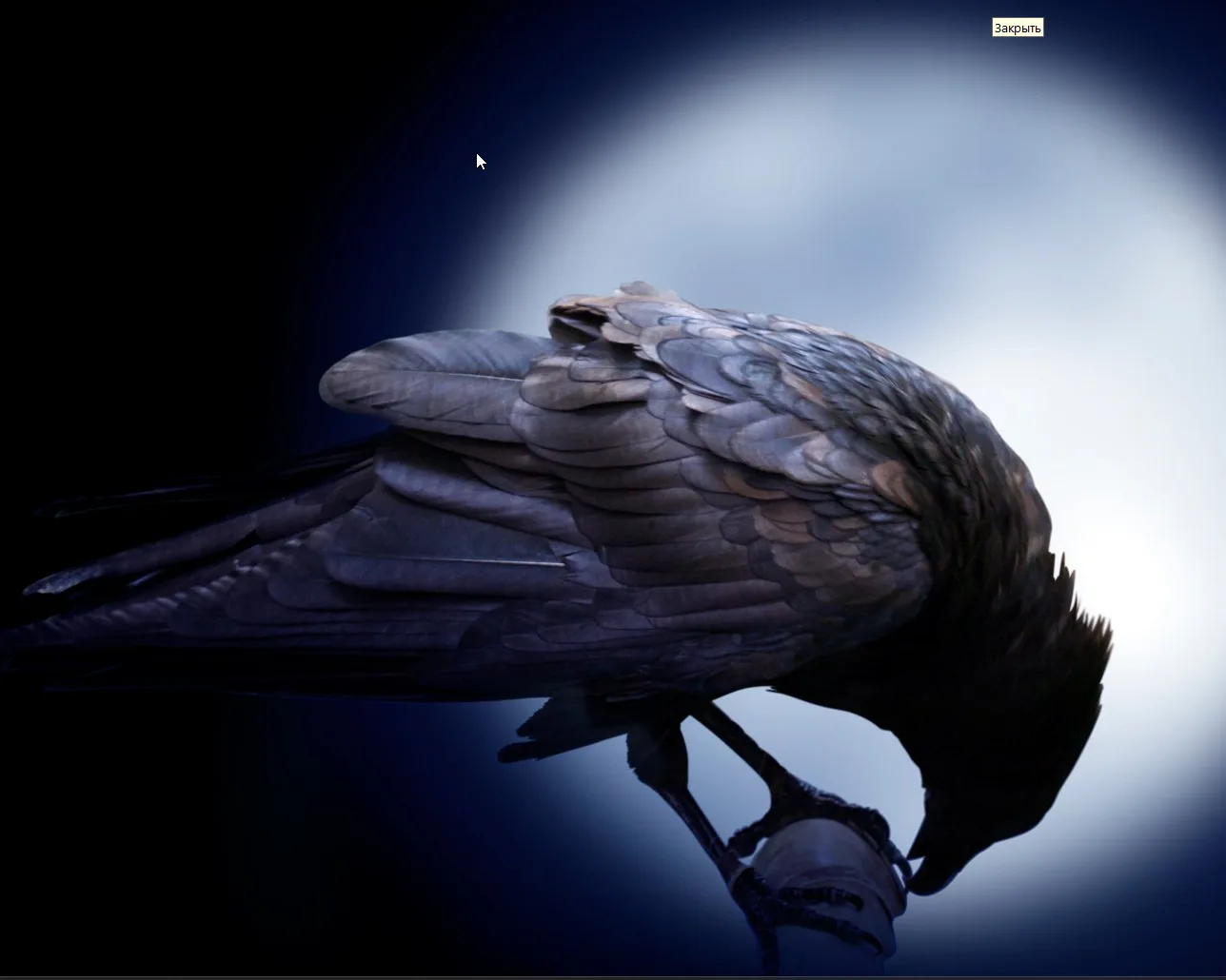 Логотип Телеграм канала naukaif. Бесплатная аналитика Telegram каналов