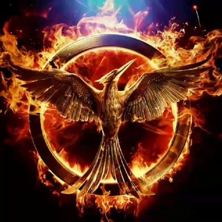 Логотип Телеграм канала fenixnaz. Бесплатная аналитика Telegram каналов