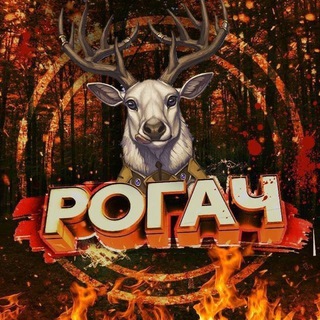 Логотип Телеграм канала Sport Moments. Бесплатная аналитика Telegram каналов