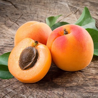 Telegram Channel logo abrikosmedia. Free Telegram Channel Analytics