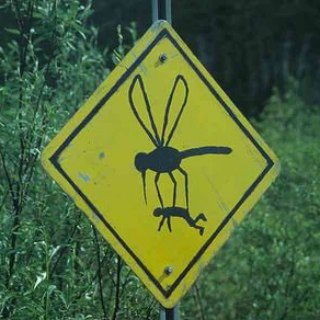 Логотип Телеграм канала ОтсосискА. Бесплатная аналитика Telegram каналов