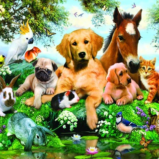 Telegram Channel logo beloved_animals. Free Telegram Channel Analytics