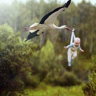 Логотип Телеграм канала otmishga_sayohat. Бесплатная аналитика Telegram каналов