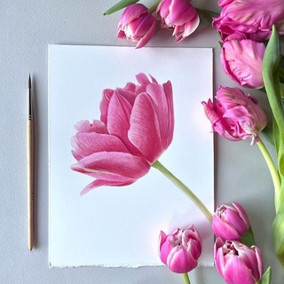 Логотип Телеграм канала . Бесплатная аналитика Telegram каналов