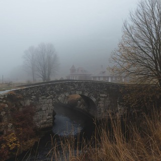 Telegram Channel logo v_obyatiah_tumana. Free Telegram Channel Analytics