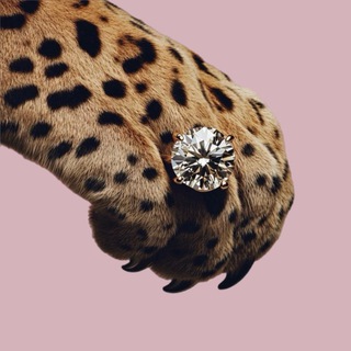 Логотип Телеграм канала zhenskoe_mesto. Бесплатная аналитика Telegram каналов