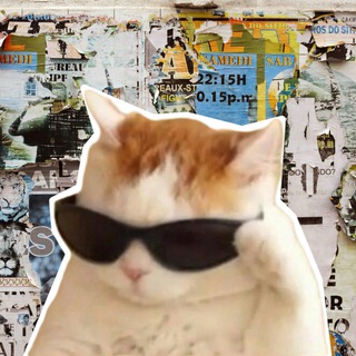 Логотип Телеграм канала +AmXp6pwlFEk2YzMy. Бесплатная аналитика Telegram каналов