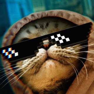 Telegram Channel logo Wallpaper_HD_pro. Free Telegram Channel Analytics