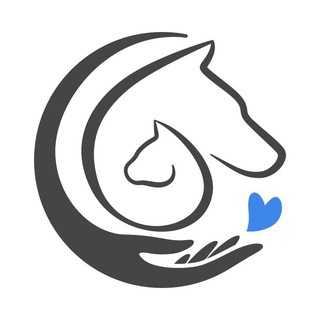 Логотип Телеграм канала . Бесплатная аналитика Telegram каналов