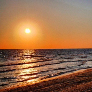 Telegram Channel logo MoreOz. Free Telegram Channel Analytics