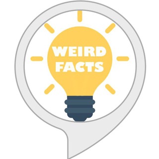 Telegram Channel logo weird_facts_TM. Free Telegram Channel Analytics