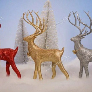 Telegram Channel logo AnimalsGroupSTL. Free Telegram Channel Analytics