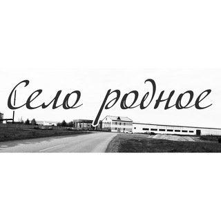 Логотип Телеграм канала . Бесплатная аналитика Telegram каналов