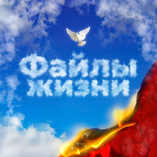 Telegram Channel logo files_life. Free Telegram Channel Analytics