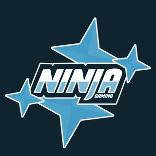 Telegram Channel logo NINJA GAMING. Free Telegram Channel Analytics