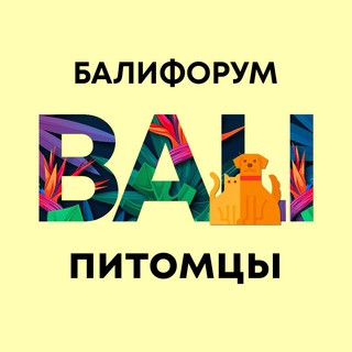 Telegram Channel logo balichatpets. Free Telegram Channel Analytics