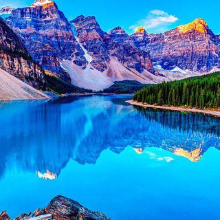 Логотип Телеграм канала . Бесплатная аналитика Telegram каналов