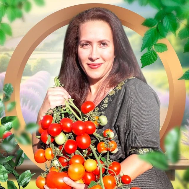 Логотип Телеграм канала uraldacha_com. Бесплатная аналитика Telegram каналов