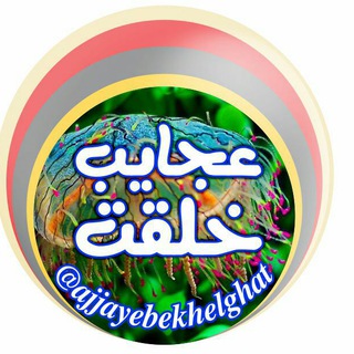 Логотип Телеграм канала عجایب خلقت و دانش. Бесплатная аналитика Telegram каналов